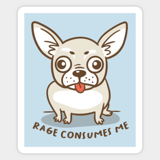 rage consumes the chihuahua Magnet